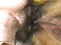 Chica Mala 08 GayBeast.com - Man Fucks Animal