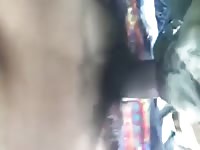 Chihuahua Mix Gay Beast Com - Zoophilia Dude