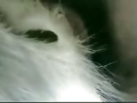 Chinese Have Sex And Ewe Gay Beast Com - Animal Porn Tube With Men