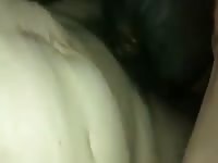 Chinese Man Fuck Bitch On Chair Gay Beast Com - boy Fucks Animal