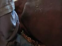 Chocolat GayBeast.com - Dude Fucks Animal