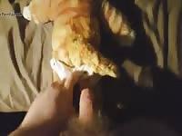 Chub Fucks Cat Plushe GayBeast - Beastiality Dude