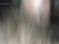Closeup Fuck Pony GayBeast Rip - Bestiality Men