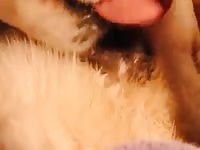 Closeup Of Sex With Bitch GayBeast.com - Animal Boy