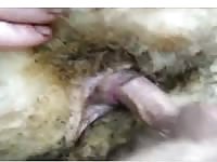 Cock Fuck Sheep Gay Beast Com - Zoophilia Boy