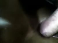 Cow Fuck 2 GayBeast.com - Zoophilia Sex Tube With Men