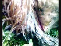 Cow Fucking 2 GayBeast - Beastiality Boy