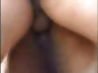 Cowboy Fucking His Donkey Gay Beast Com - Animal Porn Tube With Dude