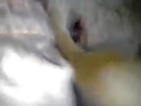 Creampie On My Honey GayBeast.com - boy Fucks Animal