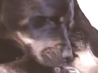 Creamy GayBeast.com - Dude Fucks Animal