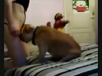 Crossed Dressed Male GayBeast.com - Dude Fucks Pet