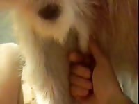 Cum On Me GayBeast Rip - Animal Porn Tube With Men