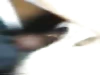 Cuming Inside GayBeast Rip - Animal Porn With Dude- Man Fucks Pet