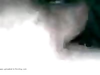 Cumming Pullout And Creampie GayBeast Rip - Man Fucks Animal