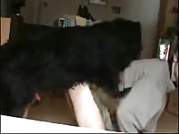 Cute Young Gay Boy Man Takes Knot GayBeast.com - Zoophilia Man