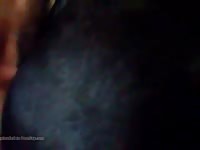 Dad Shows His Sons How To Fuck A Mare GayBeast.com - Beastiality Porn Movie With Man