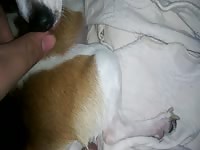 Fingiring my uncle dog