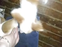 Fingering my uncle's dog
