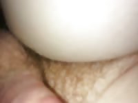 Dashound licks my dick 5