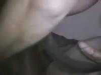 Man Fucks Female Dogs Pussy