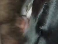 Gay tweeker gangbang1