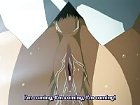 Hentai XXX - Foxy
