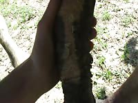 Horny Horse 1