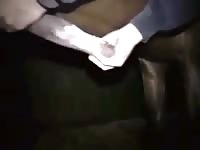 Gay sucking Huge Horse cock