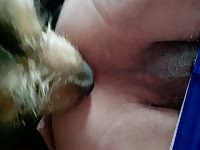 Having fun with my pet dog gay zoophilia