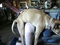 Fucking and filling