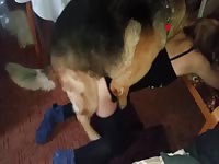Young Czech Couple and German Shepard