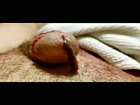 Worm won't leave my cock 