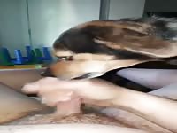 I trained my dog well. she always makes me cum