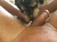 Dog licking 