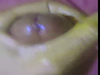 Me cums in night