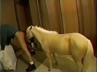 Deep Horse 1