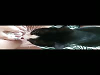 Cat licks Pussy Cat licking Whipped Cream of Pussy Orgasm
