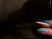 Girl Teen masturbating Male Cat Jerking Cat Penis Cum