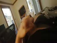 I cum thinking about dog pussy