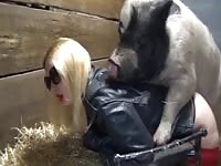 Zoophilia compilation 2023 AGUST