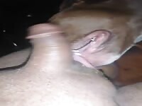 Dog licks cock pt.2