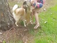 Drinking dog piss