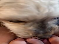 Mommy&rsquo;s good boy