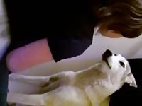Emo Teen Kissing Husky Part 2