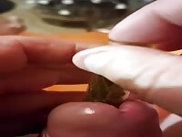insect fuck cock extrem