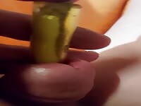 insect fuck cock extrem