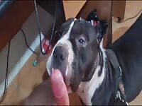 Big girl loves the taste