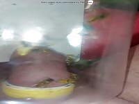 Brutal pain cbt insertion bdsm extrem pervers wasp sting