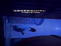 Beautiful women pooping in the toilet 3