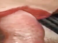 Dogcock 